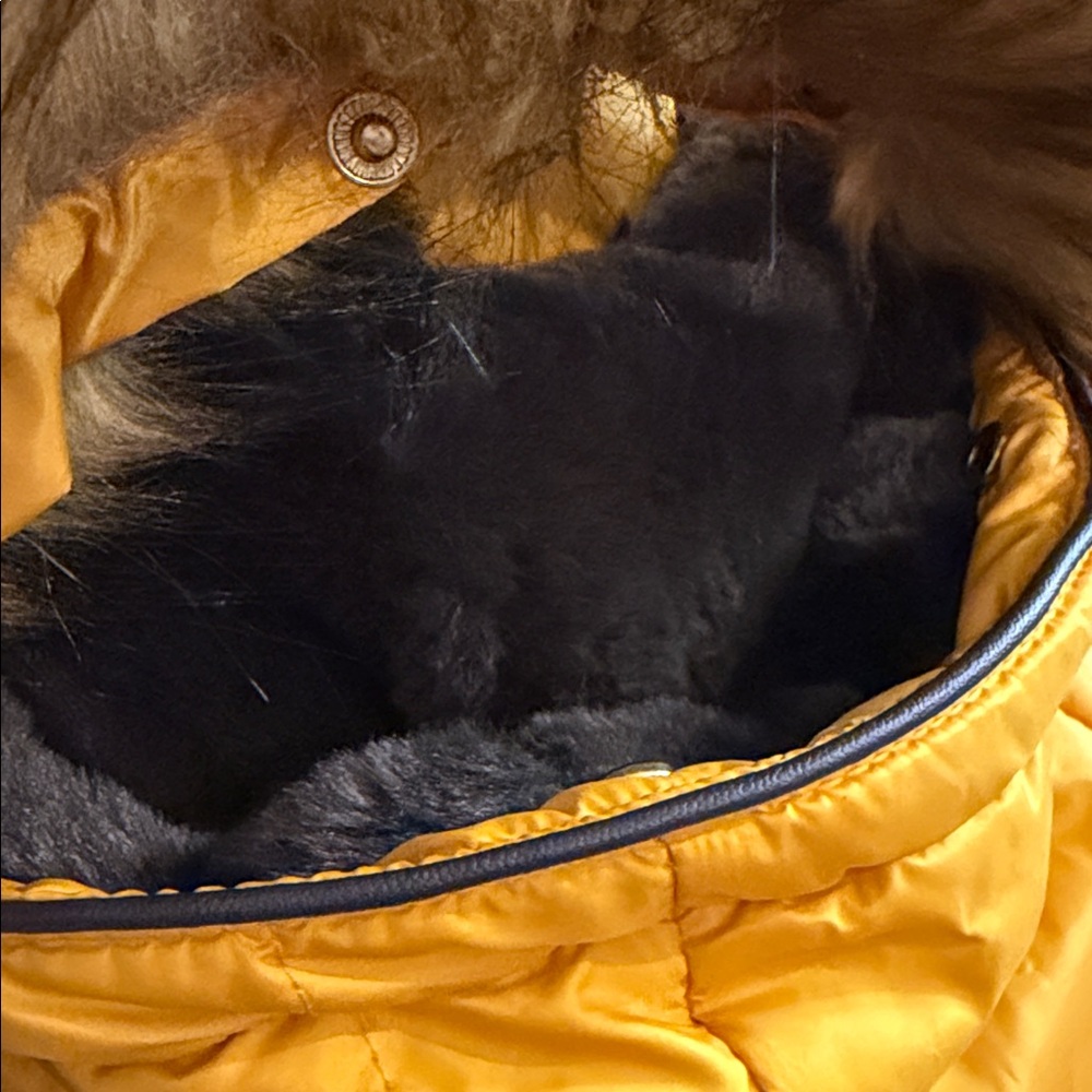 4X HP! 🌈 ZARA winter puffer coat, faux fur, removable hood mustard size sm - Picture 11 of 15